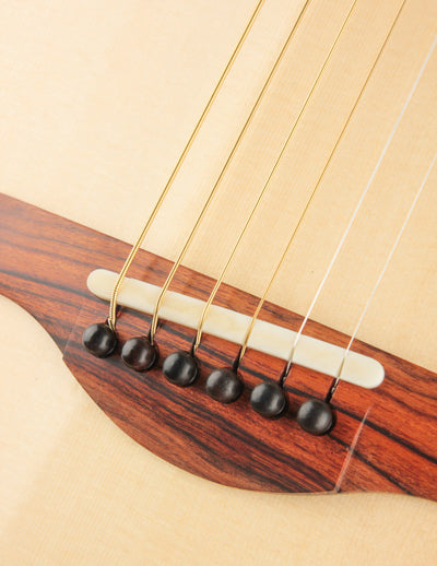 Raymond Kraut Desert Ironwood 00
