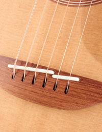 Lowden O-25 Cedar & Indian Rosewood