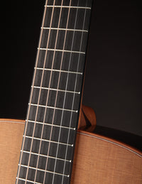 Lowden O-25 Cedar & Indian Rosewood