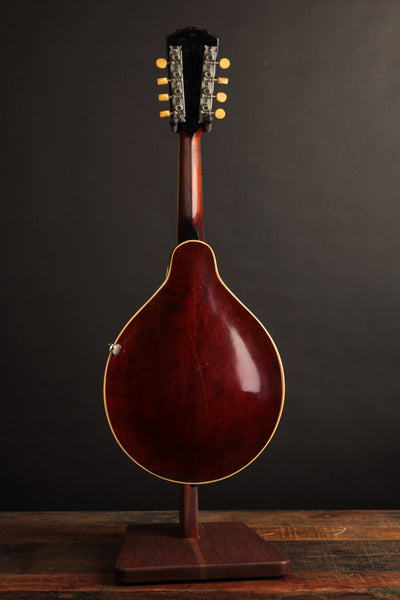 Gibson A3 Cream (1920)