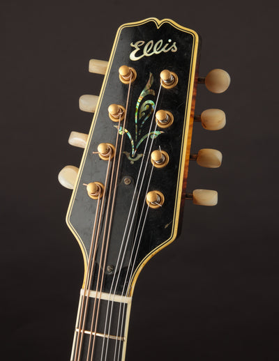 Ellis A5 Deluxe (USED, 2016)