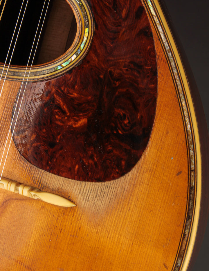 1918 Martin Style E Mandolin | The Music Emporium