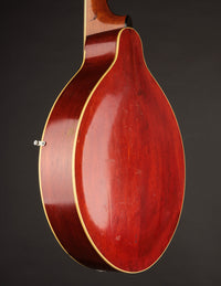 Gibson K-2 Mandocello (USED, 1914)