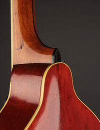 Gibson K-2 Mandocello (USED, 1914)