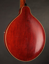 Gibson K-2 Mandocello (USED, 1914)