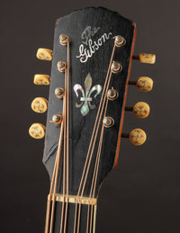 Gibson K-2 Mandocello (USED, 1914)