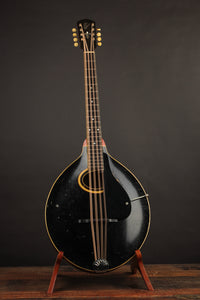Gibson K-2 Mandocello (USED, 1914)