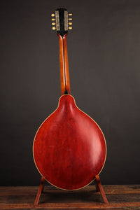 Gibson K-2 Mandocello (USED, 1914)