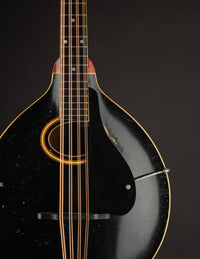 Gibson K-2 Mandocello (USED, 1914)