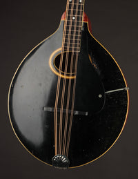 Gibson K-2 Mandocello (USED, 1914)