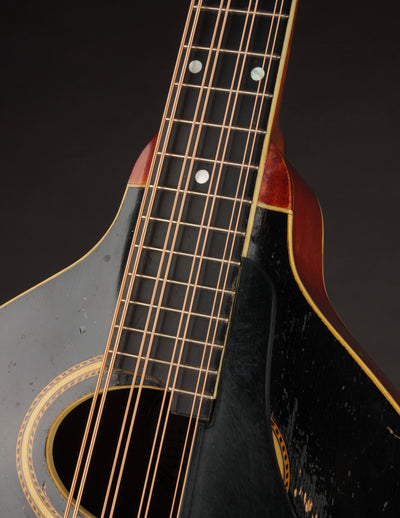 Gibson K-2 Mandocello (USED, 1914)