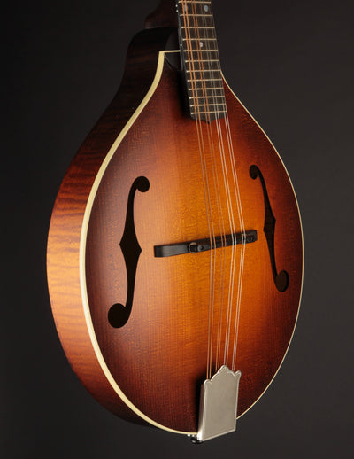 Pava Player A Satin Torrefied, Wide (USED, 2021)