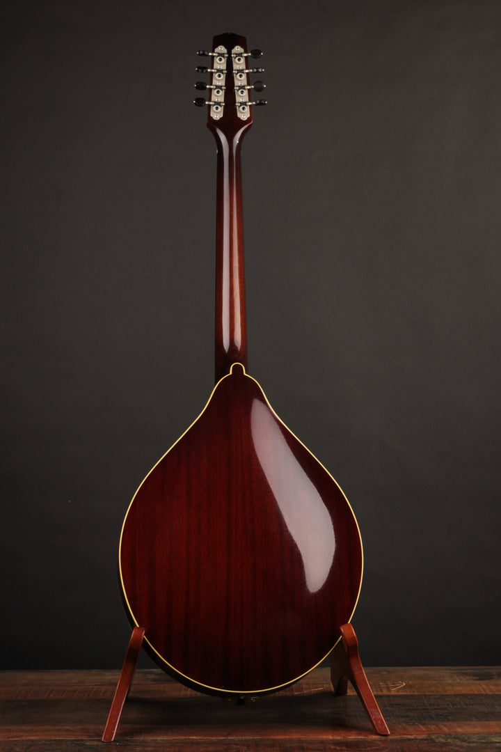 Girouard Octave Mandolin (2023) at The Music Emporium
