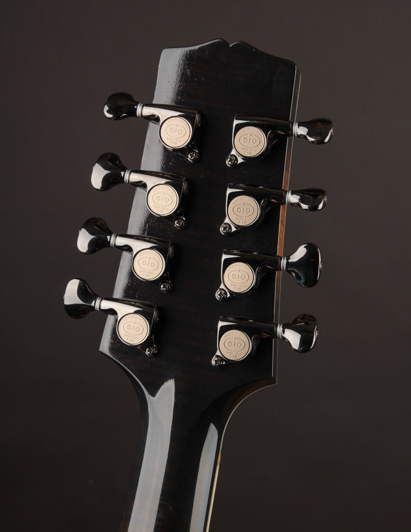 Heiden Guitar Bodied Octave Mandolin (USED, 2017)