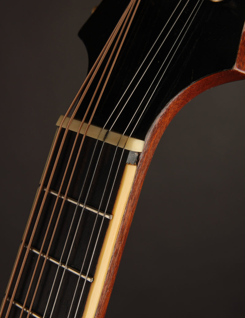 Gibson F2 Black Top (1913)