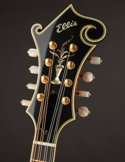 Ellis F5 Special Custom Torrefied (2023)