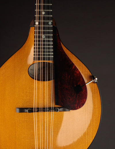 Gilchrist Model 1 (USED, 2009)