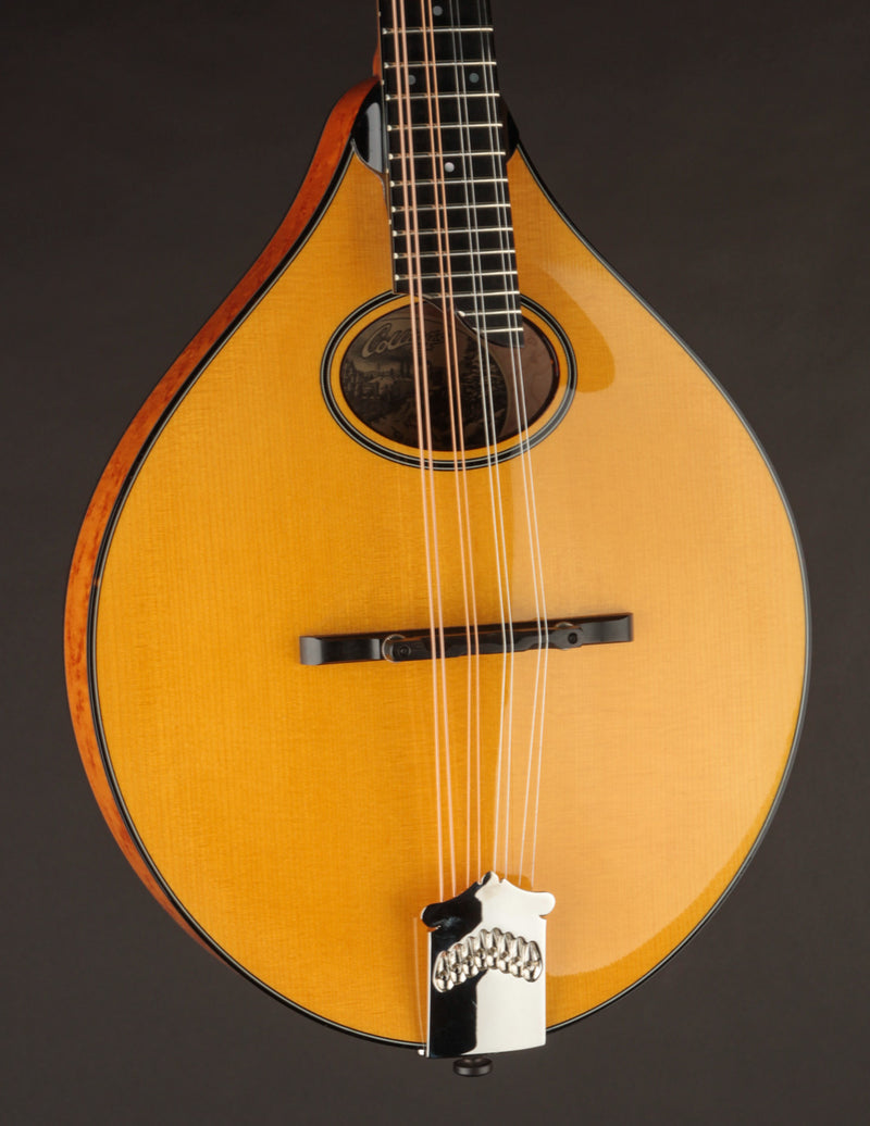 Collings MT2-O Birdseye Maple & Italian Spruce Honey Amber (USED, 2024)