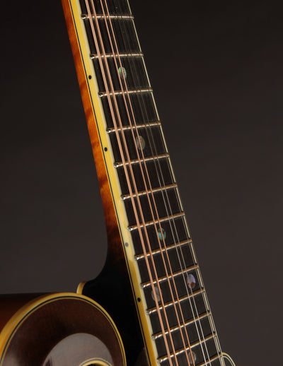 Heiden Artist F Sunburst (2007)