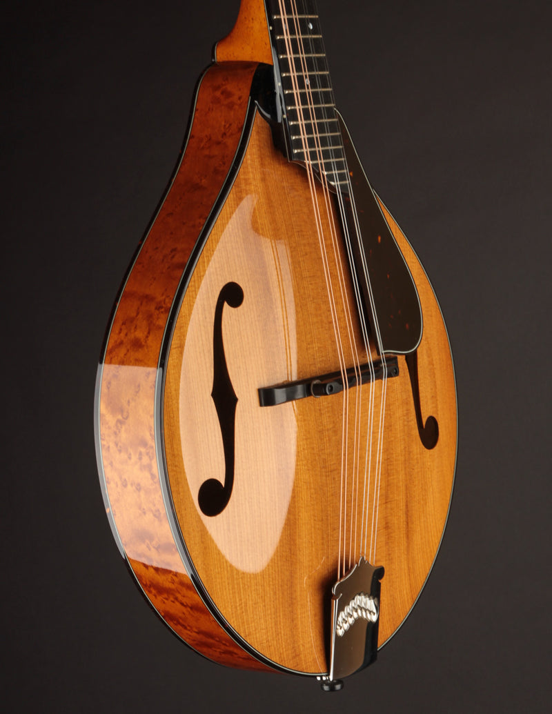 Collings MT2 Torrefied Adirondack & Birdseye Maple Honey Amber (USED, 2017)