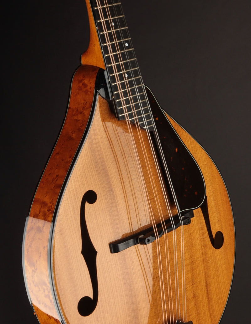 Collings MT2 Torrefied Adirondack & Birdseye Maple Honey Amber (USED, 2017)