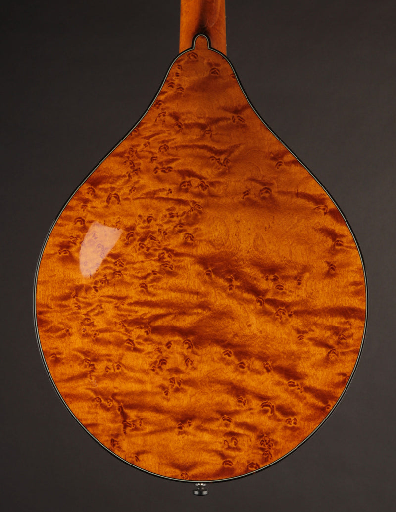 Collings MT2 Torrefied Adirondack & Birdseye Maple Honey Amber (USED, 2017)