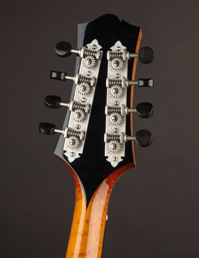 Collings MT2 Torrefied Adirondack & Birdseye Maple Honey Amber (USED, 2017)