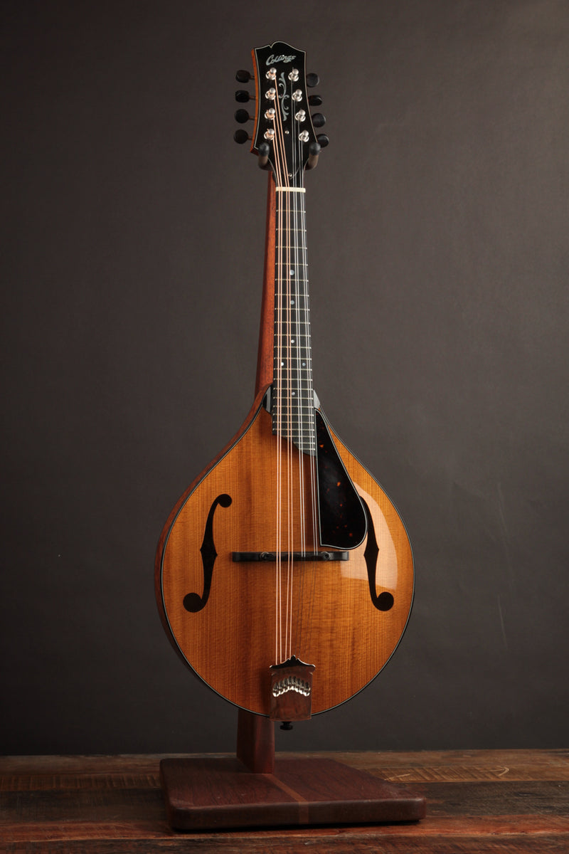Collings MT2 Torrefied Adirondack & Birdseye Maple Honey Amber (USED, 2017)