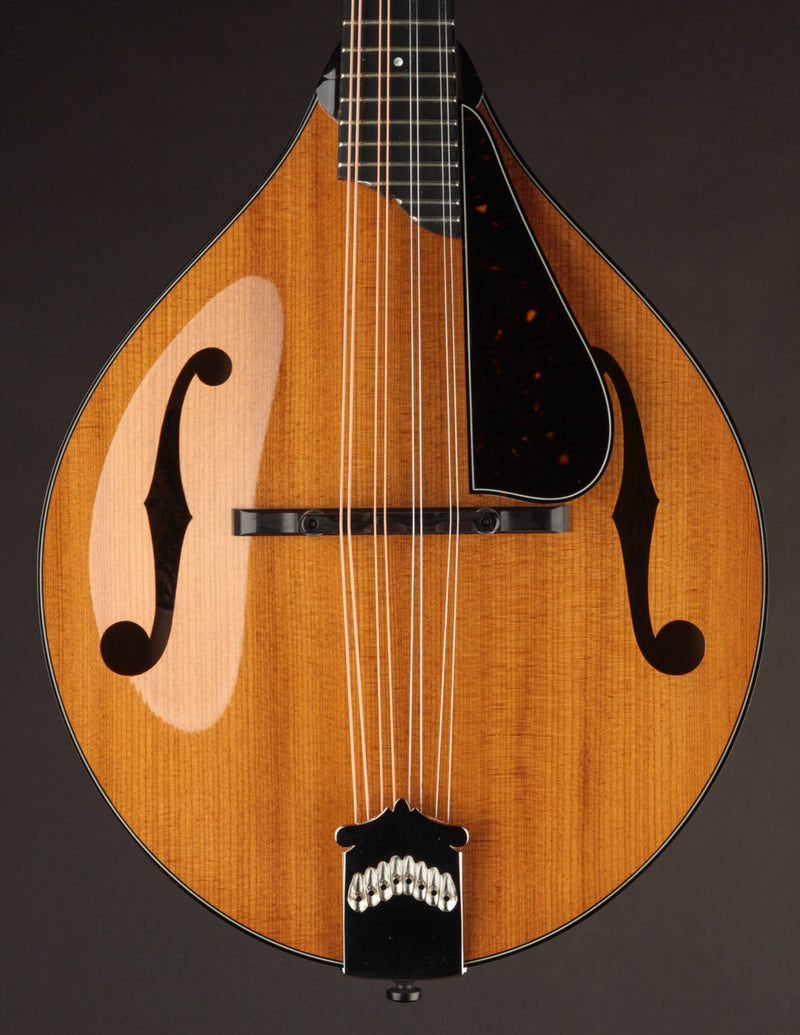 Collings MT2 Torrefied Adirondack & Birdseye Maple Honey Amber (USED, 2017)
