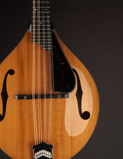 Collings MT2 Torrefied Adirondack & Birdseye Maple Honey Amber (USED, 2017)