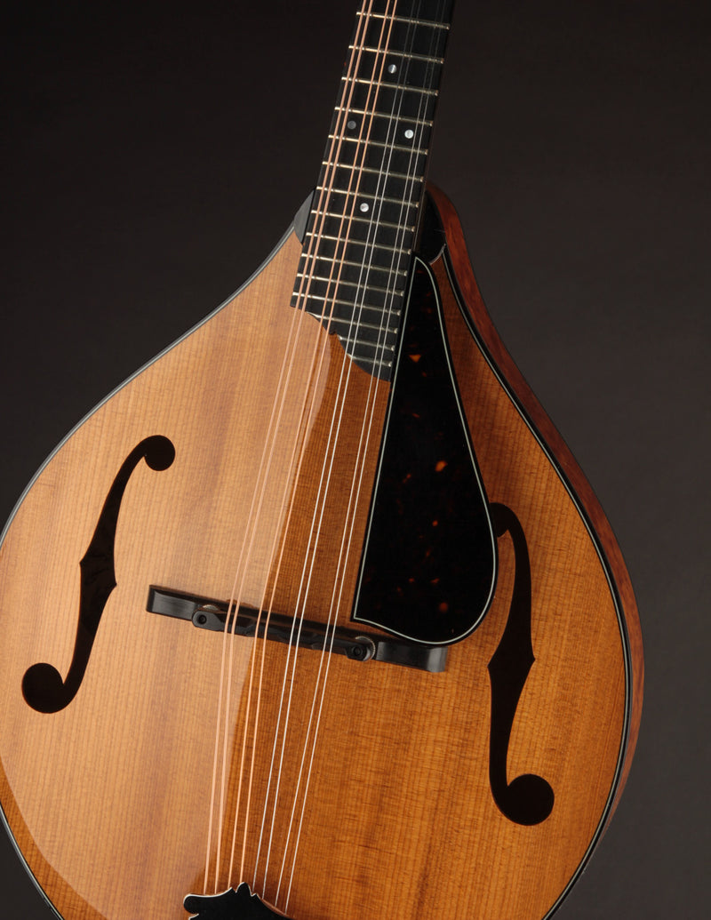 Collings MT2 Torrefied Adirondack & Birdseye Maple Honey Amber (USED, 2017)