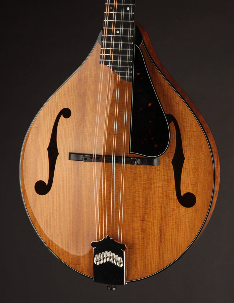 Collings MT2 Torrefied Adirondack & Birdseye Maple Honey Amber (USED, 2017)