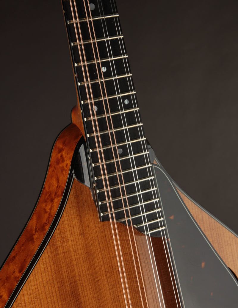 Collings MT2 Torrefied Adirondack & Birdseye Maple Honey Amber (USED, 2017)