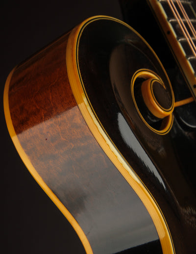 Heiden Artist F Tobacco Sunburst (2001)