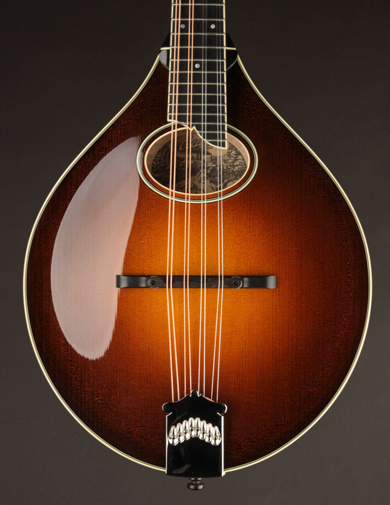 Collings MT2-O Sunburst (USED, 2019)