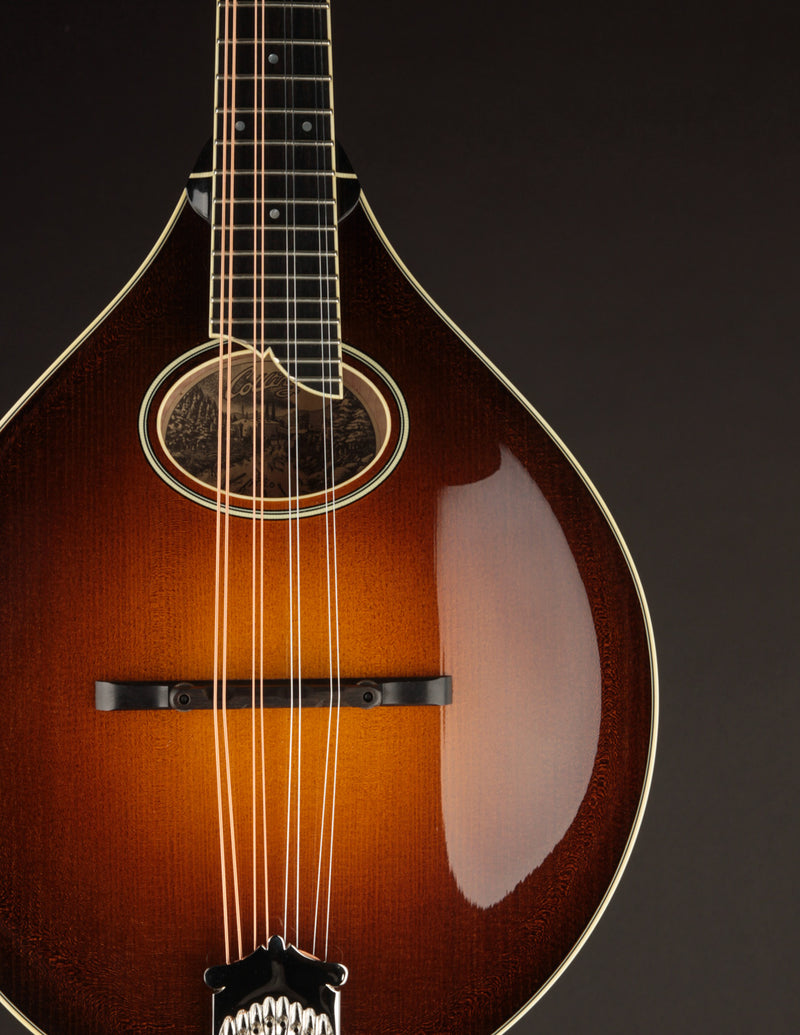 Collings MT2-O Sunburst (USED, 2019)
