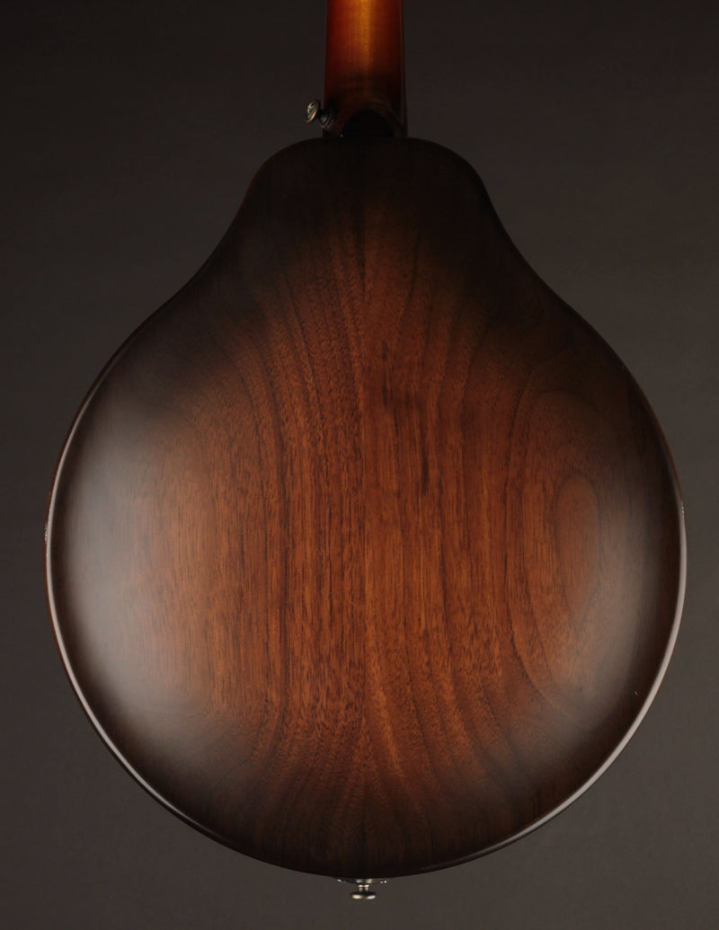National RM1 Mandolin (USED, 2021)
