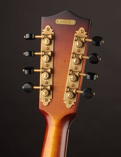 National RM1 Mandolin (USED, 2021)