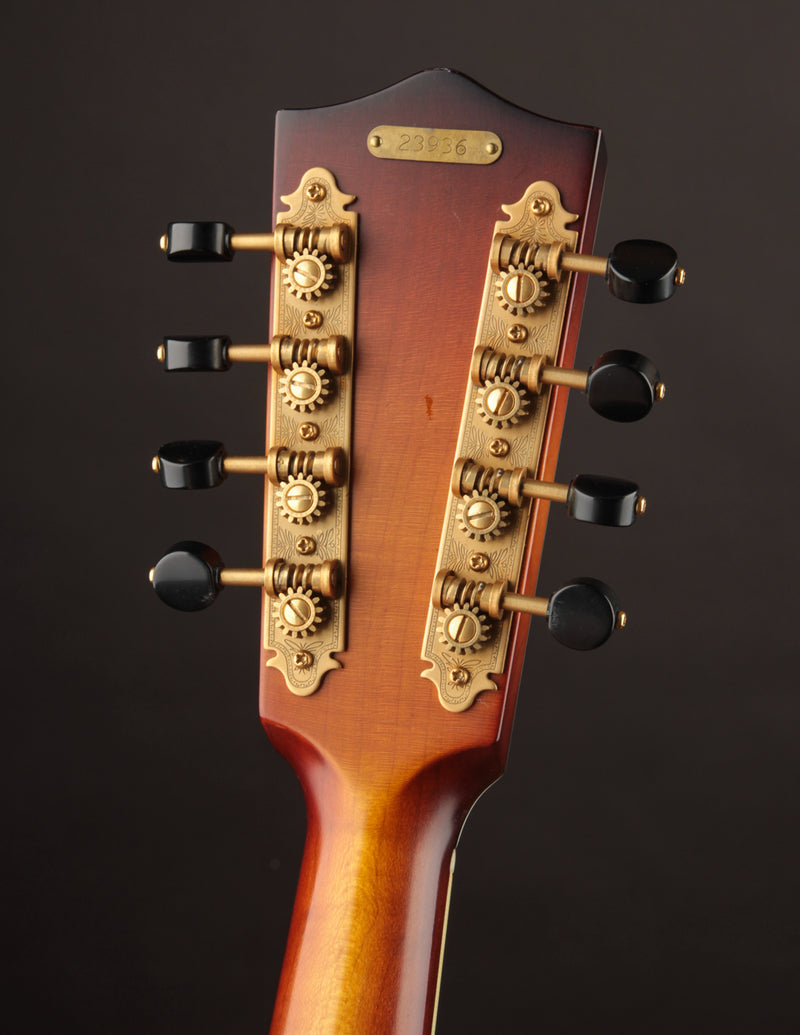 National RM1 Mandolin (USED, 2021)