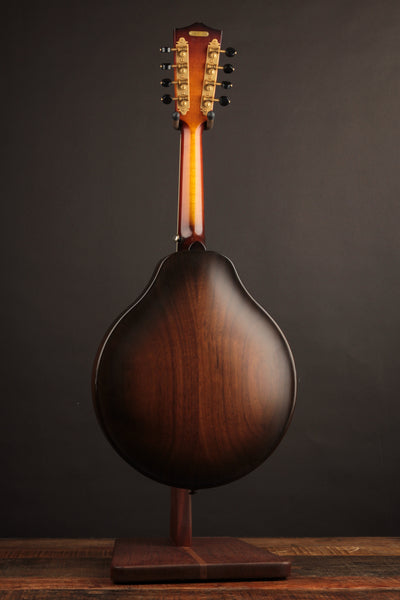 National RM1 Mandolin (USED, 2021)