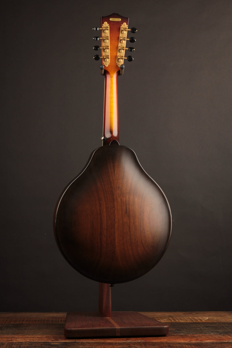 National RM1 Mandolin (USED, 2021)