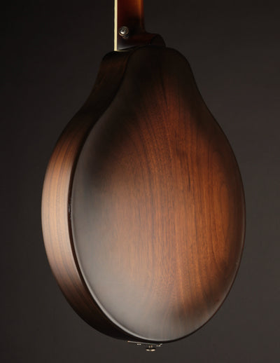 National RM1 Mandolin (USED, 2021)