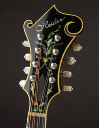 Heiden Heritage F (2018)