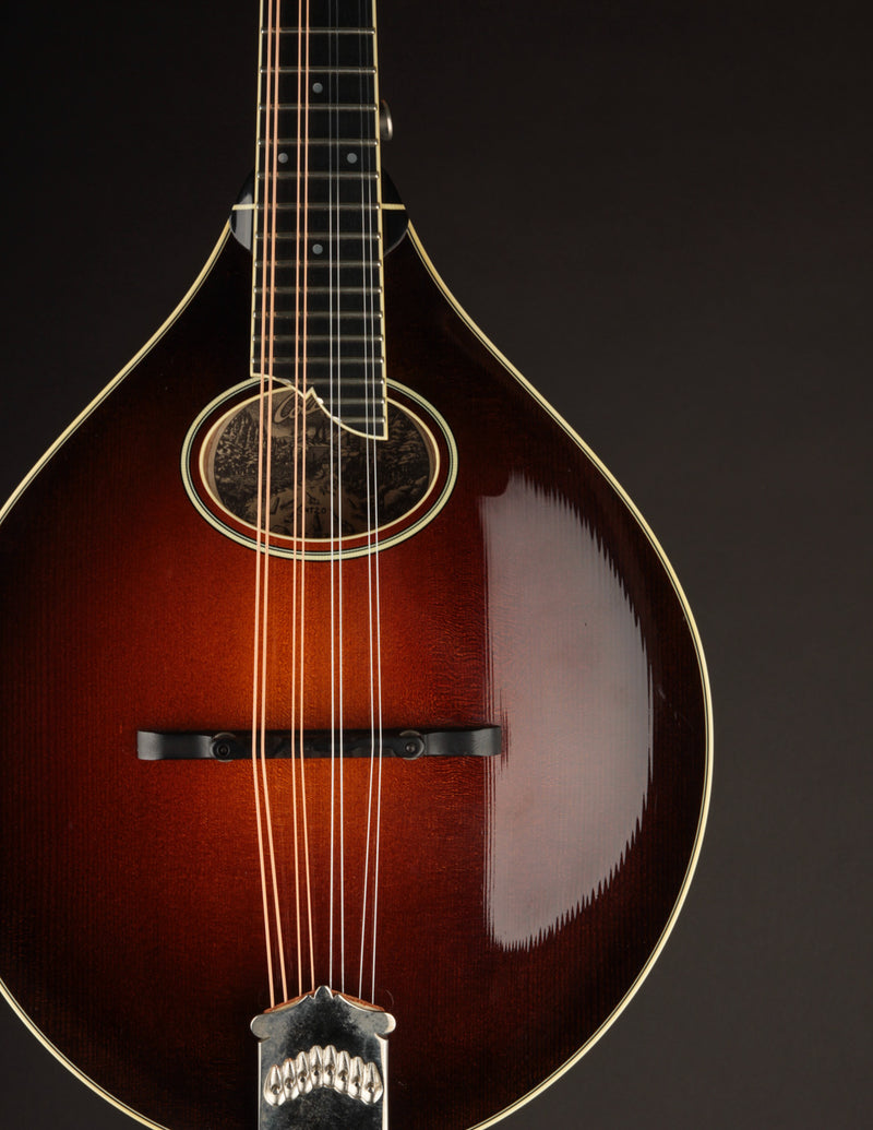 Collings MT2-O Birdseye & Italian Sunburst (2017)