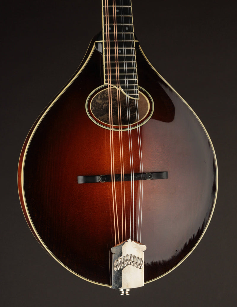 Collings MT2-O Birdseye & Italian Sunburst (2017)