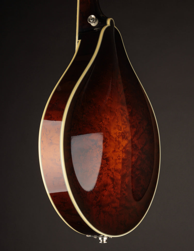 Collings MT2-O Birdseye & Italian Sunburst (2017)