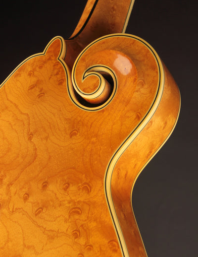 Northfield NFA5V1I Artist Model Blonde (2019)