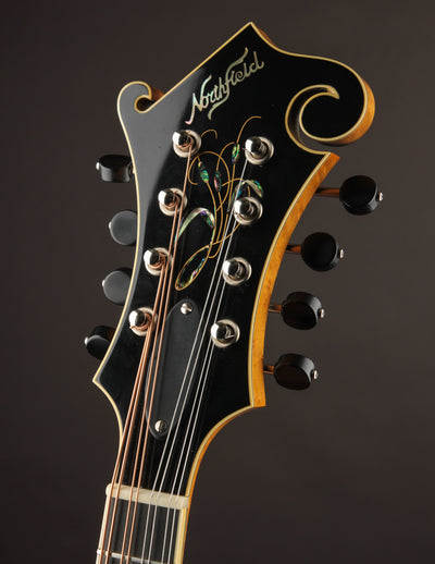 Northfield NFA5V1I Artist Model Blonde (2019)