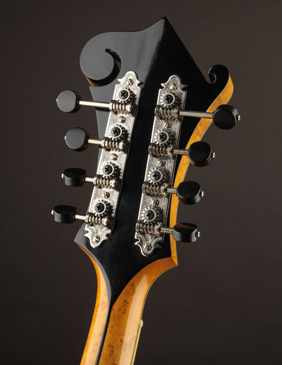Northfield NFA5V1I Artist Model Blonde (2019)