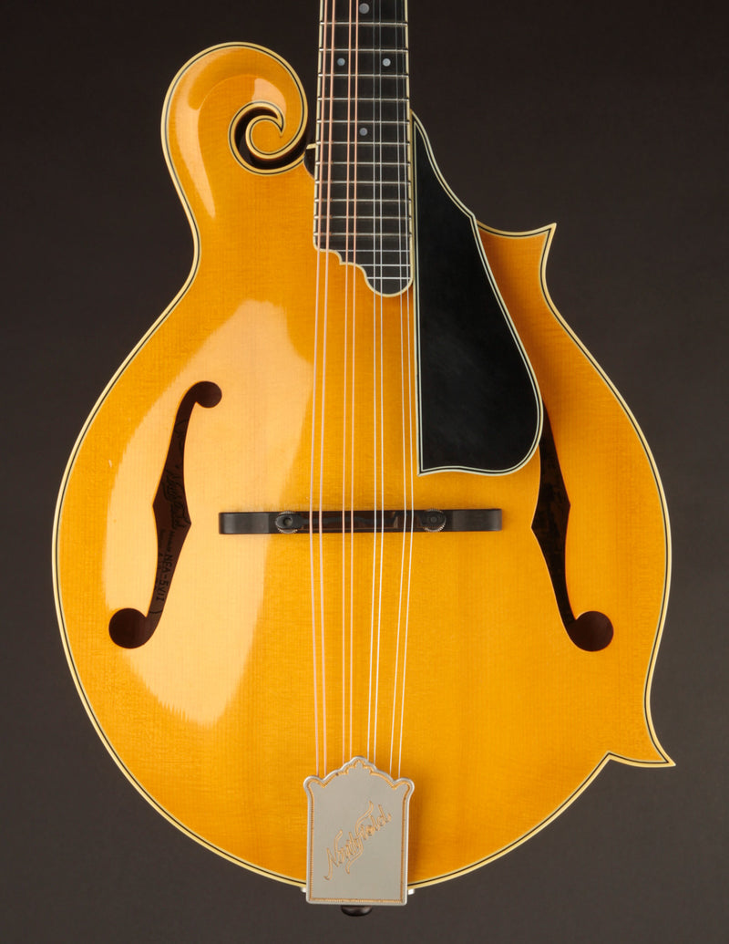 Northfield NFA5V1I Artist Model Blonde (2019)